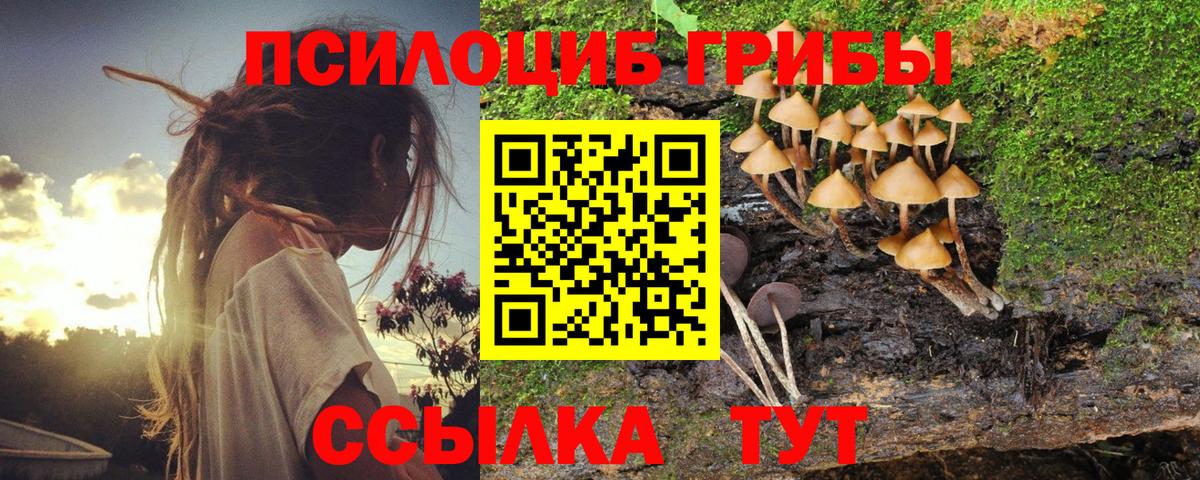 Галлюциногенные грибы Magic Shrooms Людиново