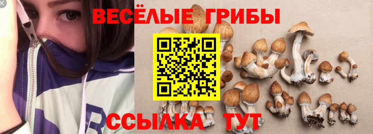 продажа наркотиков  Вход с VPN  Людиново  Псилоцибиновые грибы MAGIC MUSHROOMS 